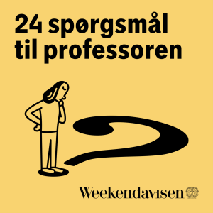 24 Questions to the Professor