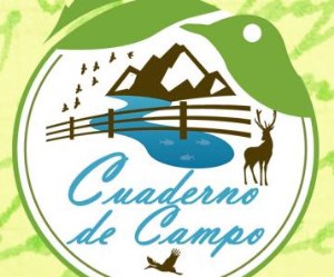 Cuaderno de Campo (17/06/18)