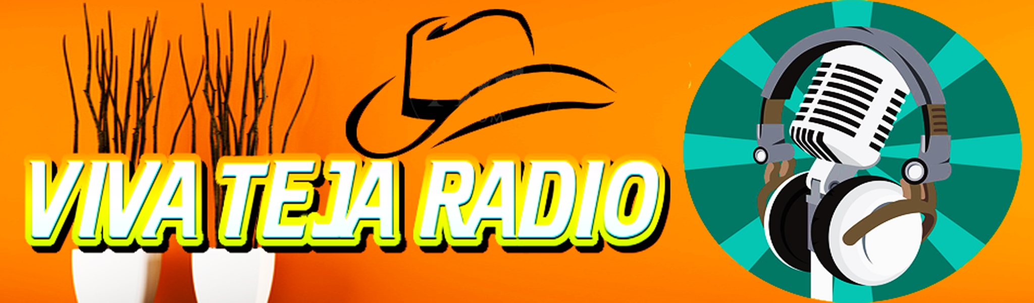 Viva Teja Radio