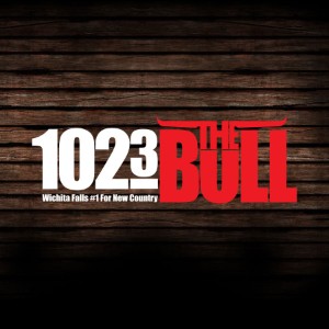 102.3 The Bull