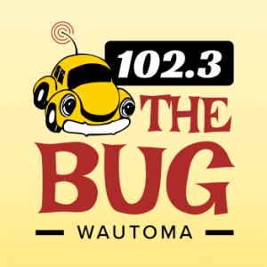 102.3 The Bug-logo