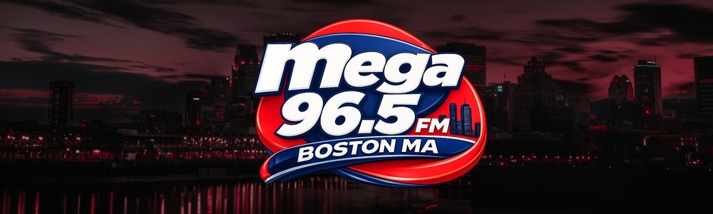 Mega 96.5 fm