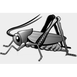Cricket Radio Country Hits