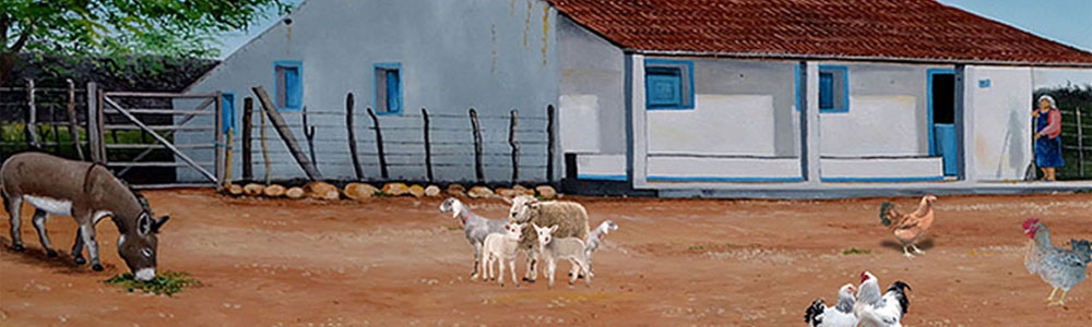 Rádio Forró
