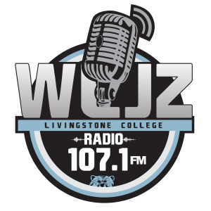 WLJZ 107.1 FM