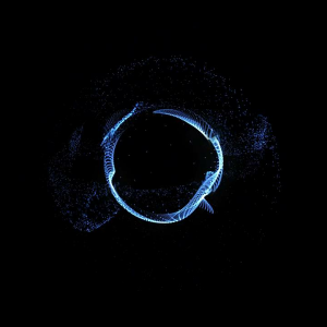 Drumandbass FM