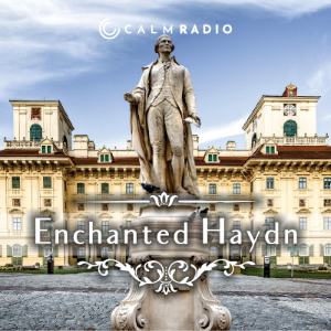ENCHANTED HAYDN
