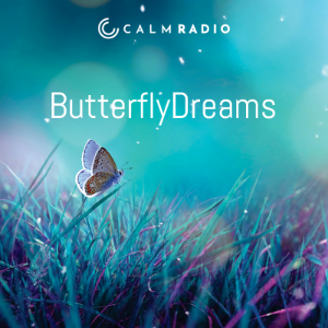 BUTTERFLY DREAMS