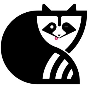 Crazy Raccoon