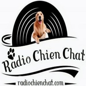 Radio chien chat