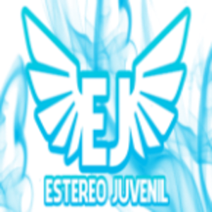 Estereo Juvenil 91.3 F.m
