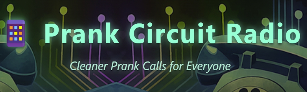 Prank Circuit Radio