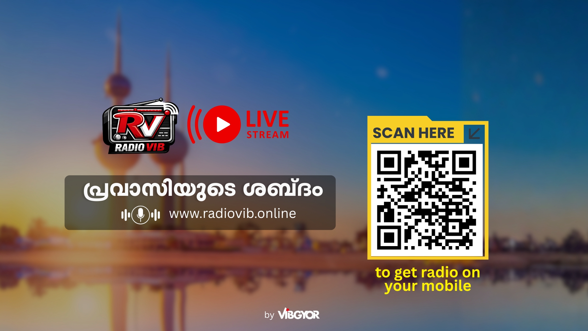 radioVib