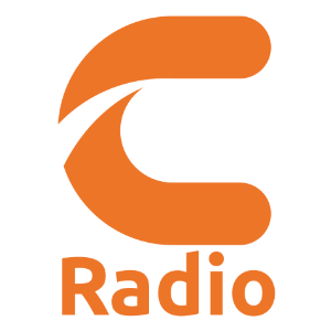 Connect In De Spits-logo